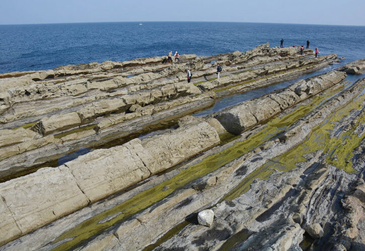 Alternating layers of sandstone and mudstone on Koizu Coast (Shimane Peninsula and Shinjiko Nakaumi Estuary Geopark / Shimane Prefecture). The thickness of the layer of white sandstone and the coarseness of the grains show us that an immense amount of power was required to transport the sediments during its formation. 