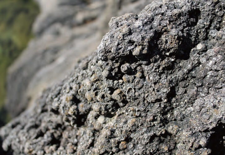 Rhyolite (igneous rock) of Fukiage Coast (Sado Island Geopark / Niigata Prefecture). It contains countless eye-shaped <i>spherulites</i> that were formed when magma cooled and solidified.