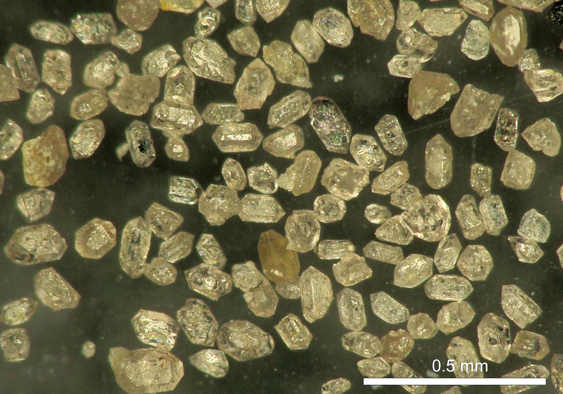 Zircon in the granite of Unazuki (Tateyama Kurobe Geopark / Toyama Prefecture). Some of it is thought to have been sand grains 3.8 billion years ago.