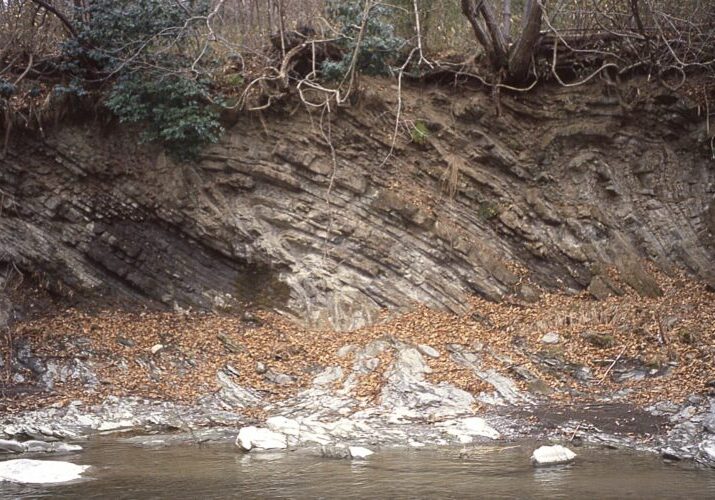 The strata in Chichibu (Chichibu Geopark / Saitama Prefecture) are approx. 16 million years old. The strata contain traces of submarine landslides called <i>slump folds</i>.