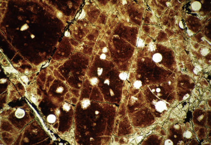南アルプス（長野県 南アルプス（中央構造線エリア）ジオパーク）のチャートの顕微鏡写真。白い斑点模様はプランクトンの一種である放散虫の化石です。