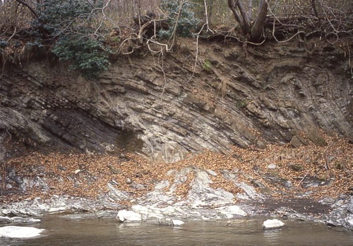 秩父（埼玉県 ジオパーク秩父）の約1,600万年前の地層。「スランプ褶曲」と呼ばれる、
海底の地すべりの痕跡が残されています。